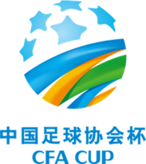 中国足协杯